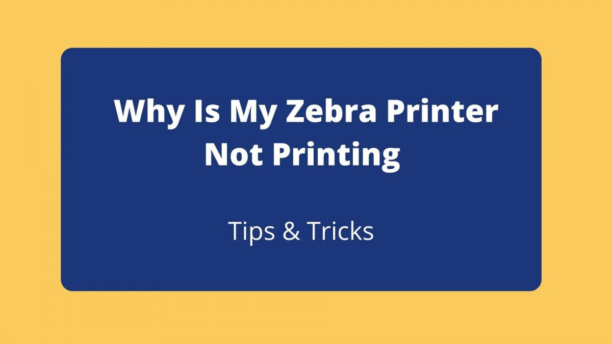 Why Is My Zebra Printer Not Printing